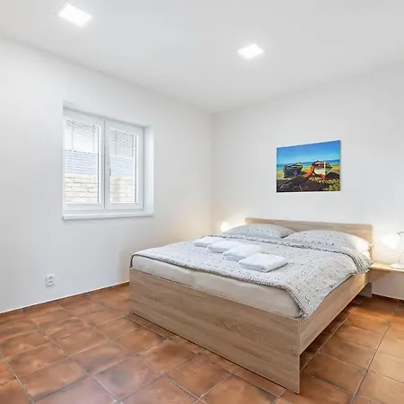 Cyklopenzion U Capu Apartment Jevisovka