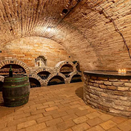 Apartment Cyklopenzion U Capu Jevisovka