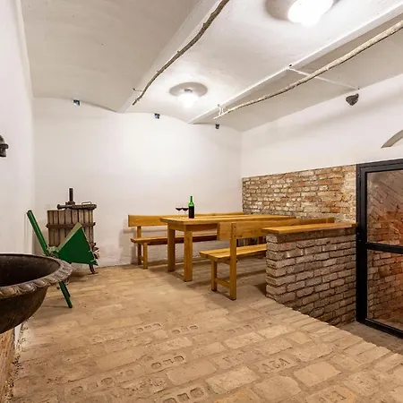 Apartment Cyklopenzion U Capu Jevisovka