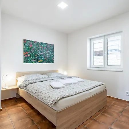 Apartment Cyklopenzion U Capu Jevisovka