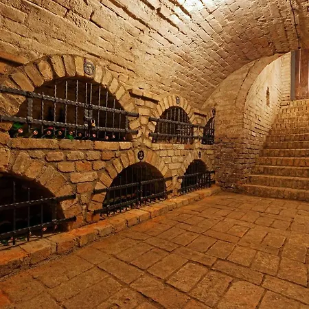 Apartment Cyklopenzion U Capu Jevisovka