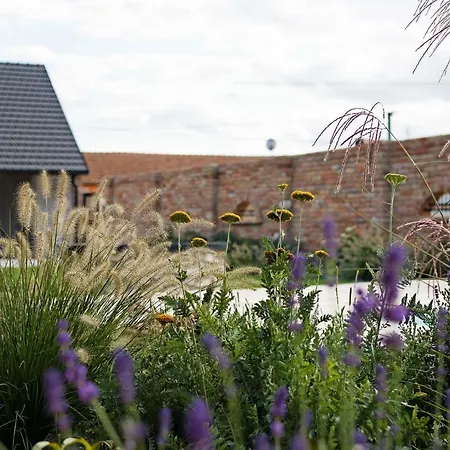 Cyklopenzion U Capu Appartamento *