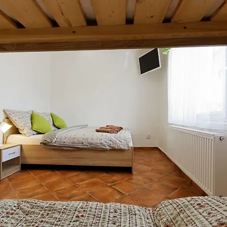 Apartment Cyklopenzion U Capu *