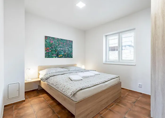 Apartmán Cyklopenzion U čápů Jevisovka
