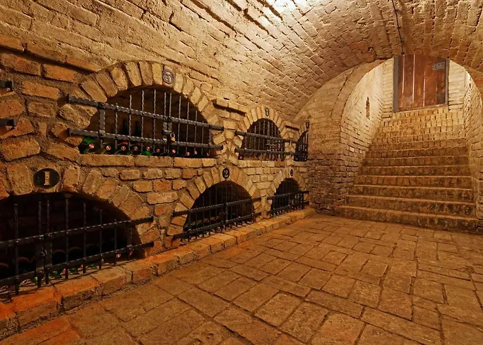Apartmán Cyklopenzion U čápů Jevisovka