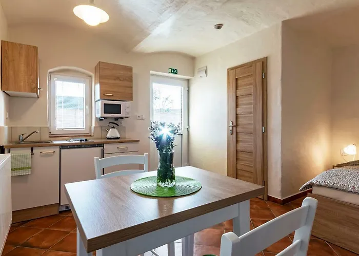 Apartmán Cyklopenzion U čápů *